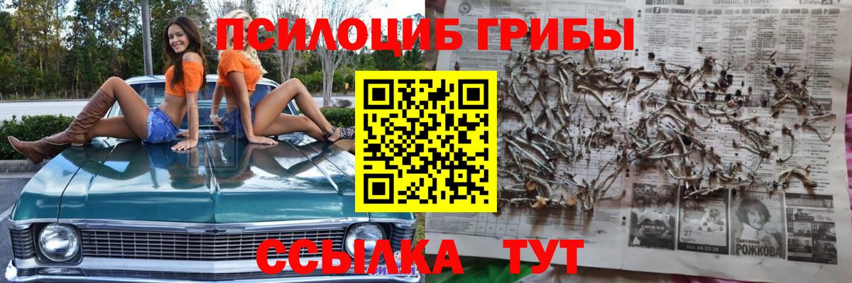  COCAIN Курчатов