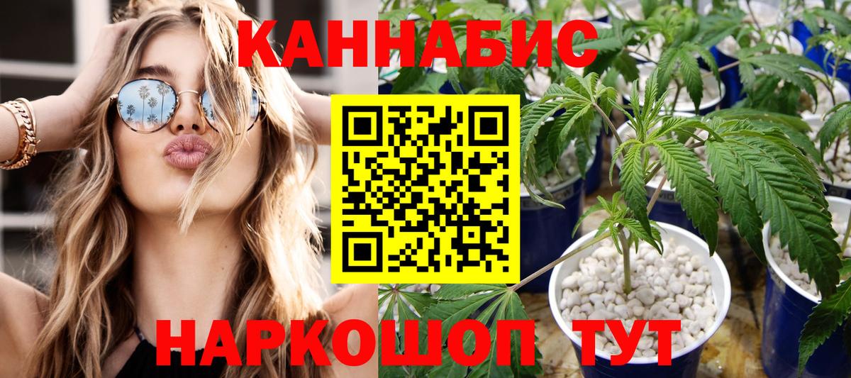 Бошки марихуана план Курчатов
